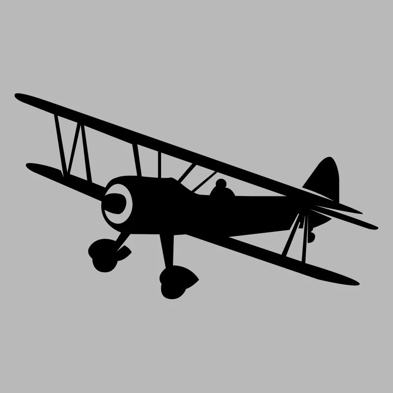 Fly a plane