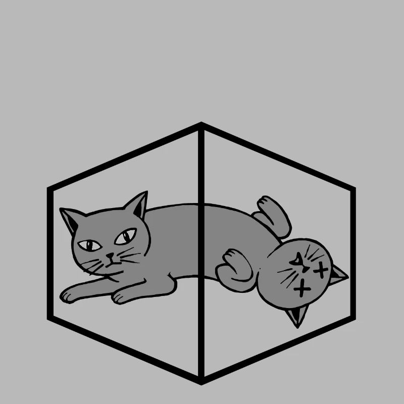 Schrödinger's cat physics quantum mechanics physicist