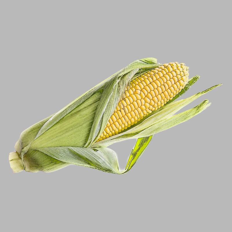 corncob