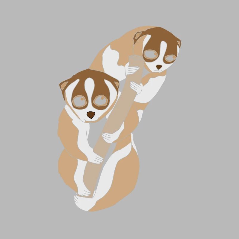 Slow Loris