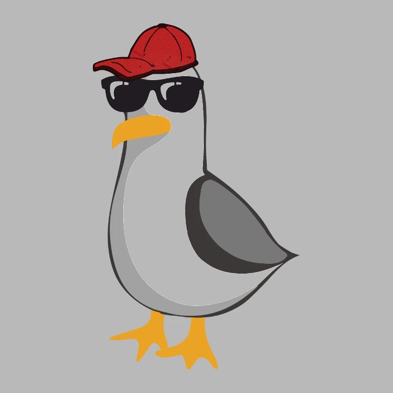 Paulis coole Möwe