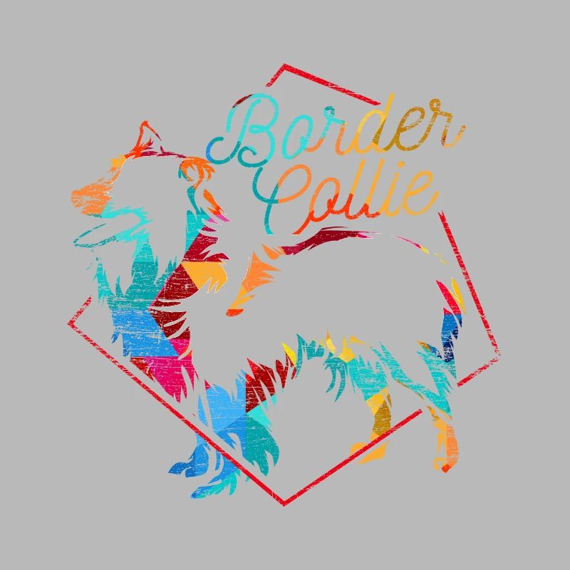 Polygone de border collie