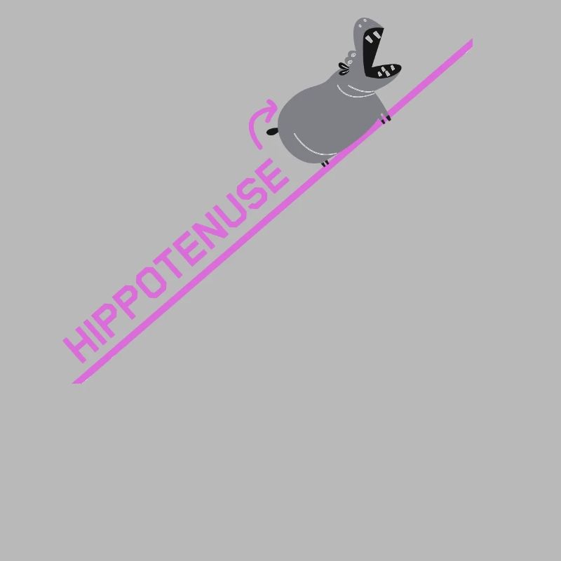 Idée de conception de cadeau de plaisanterie drôle de nerd Hippotenuse