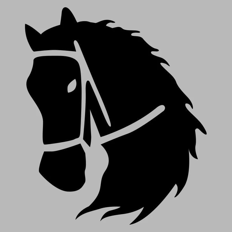 équitation