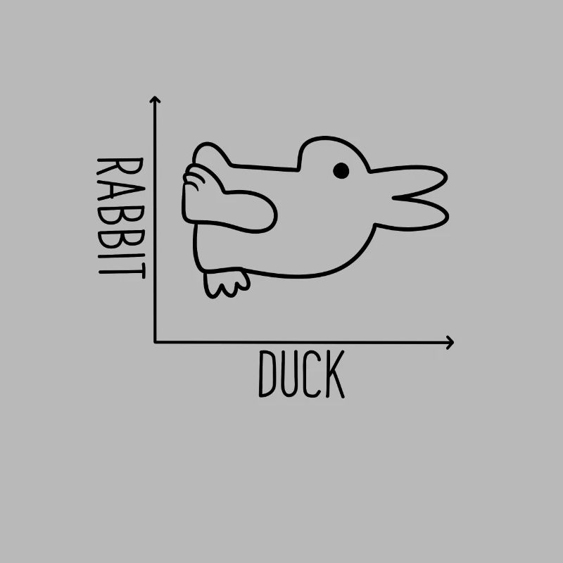Duck x Rabbit Graph Canard x Lapin Graph