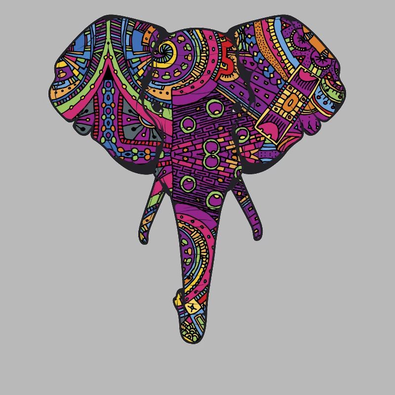 Éléphant réfléchissant coloré de couleur de l’Inde