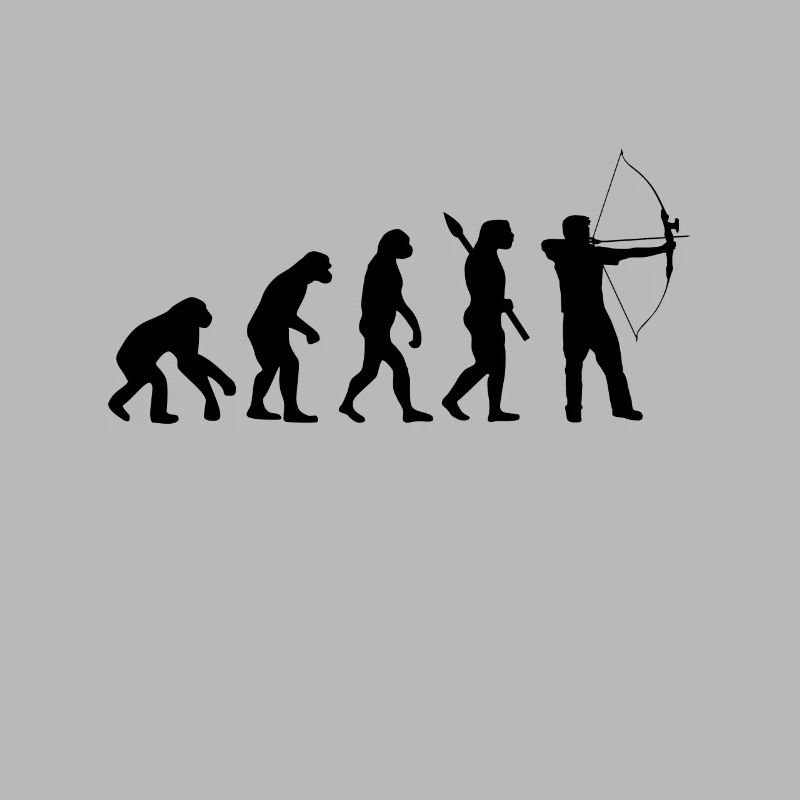 Evolution Sagittarius Archery bow and arrow