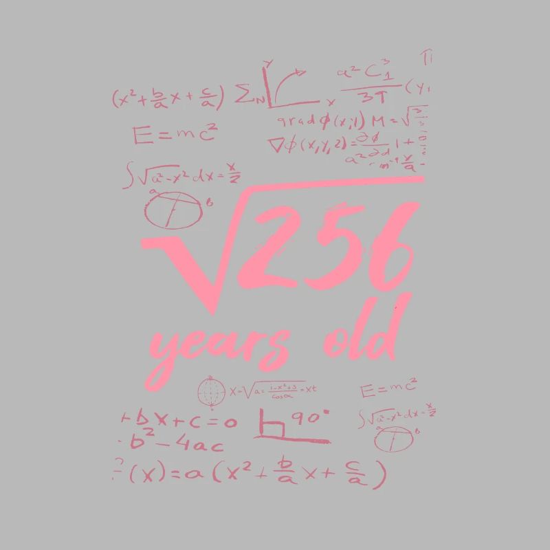 16 year old 16th birthday root from 256 math