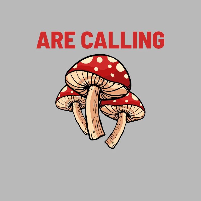 Champignons champignons observateurs