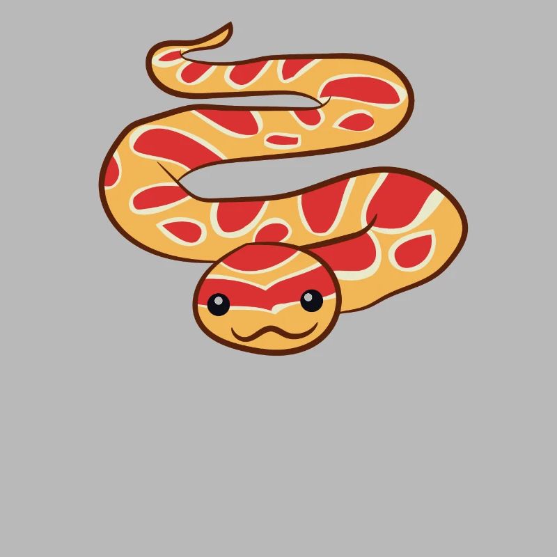 Corn snake - I just love corn snakes