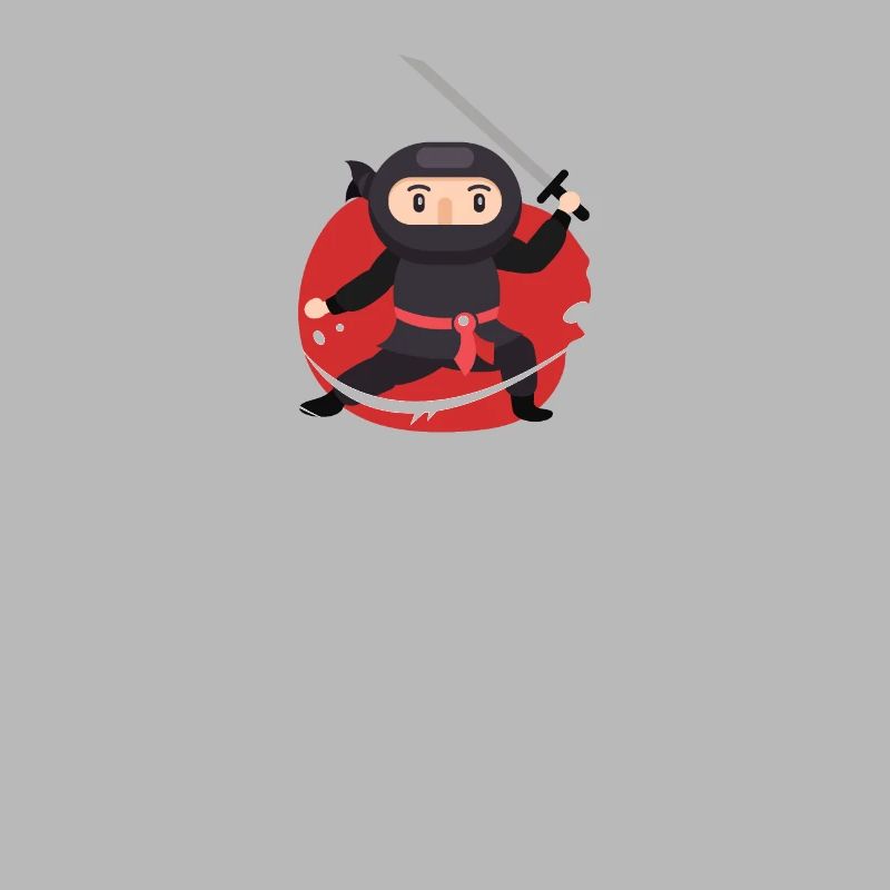 Code Ninja Programmierung