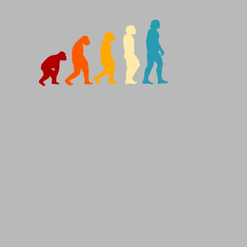 E-guitare Evolution