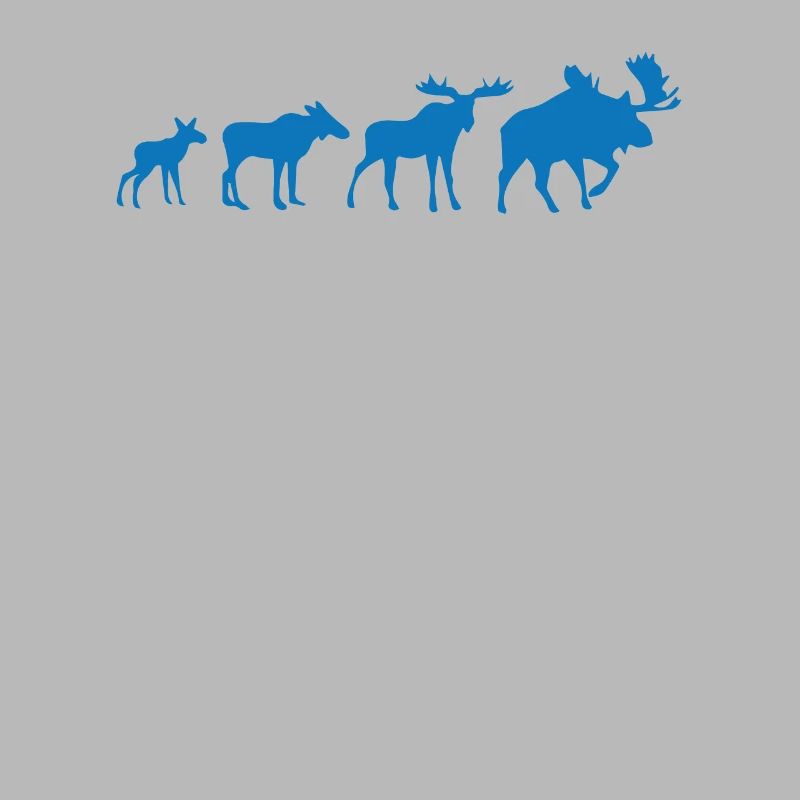 Evolution de l’orignal