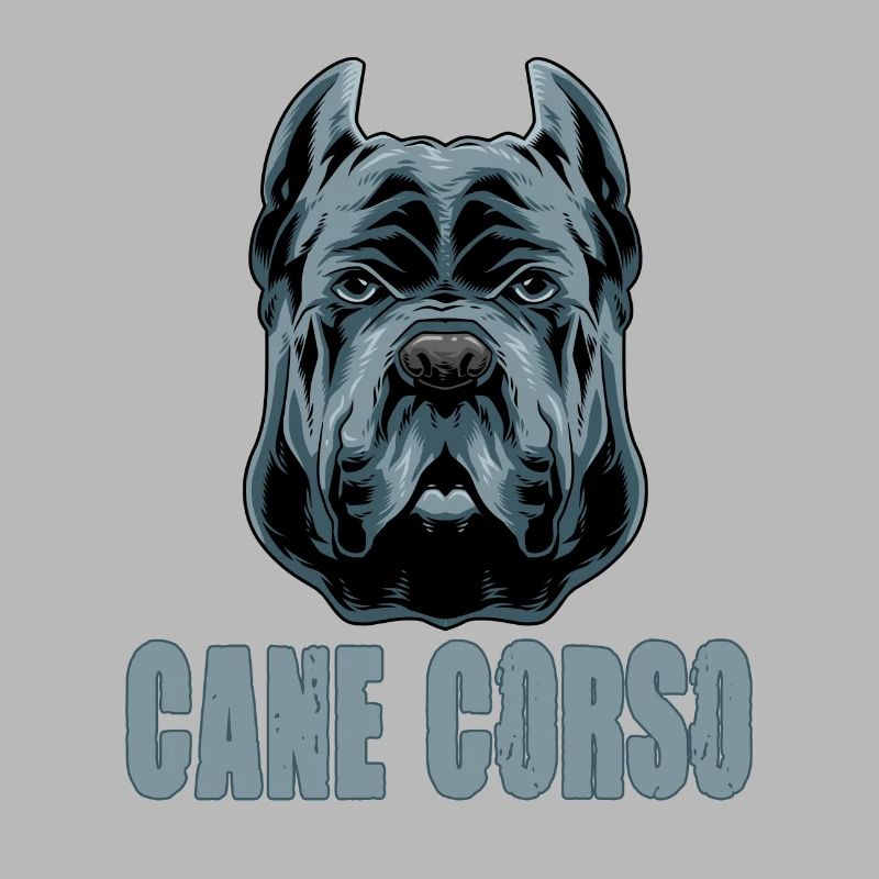 Cane Corso pour cane Corso propriétaire Cane