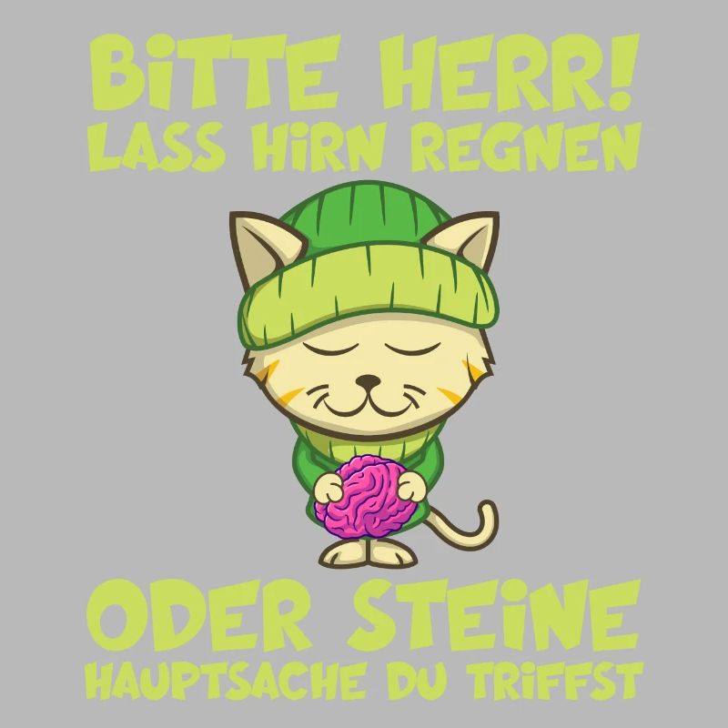 Herr Lass Hirn Regnen Oder Steine Lustige Sprüche