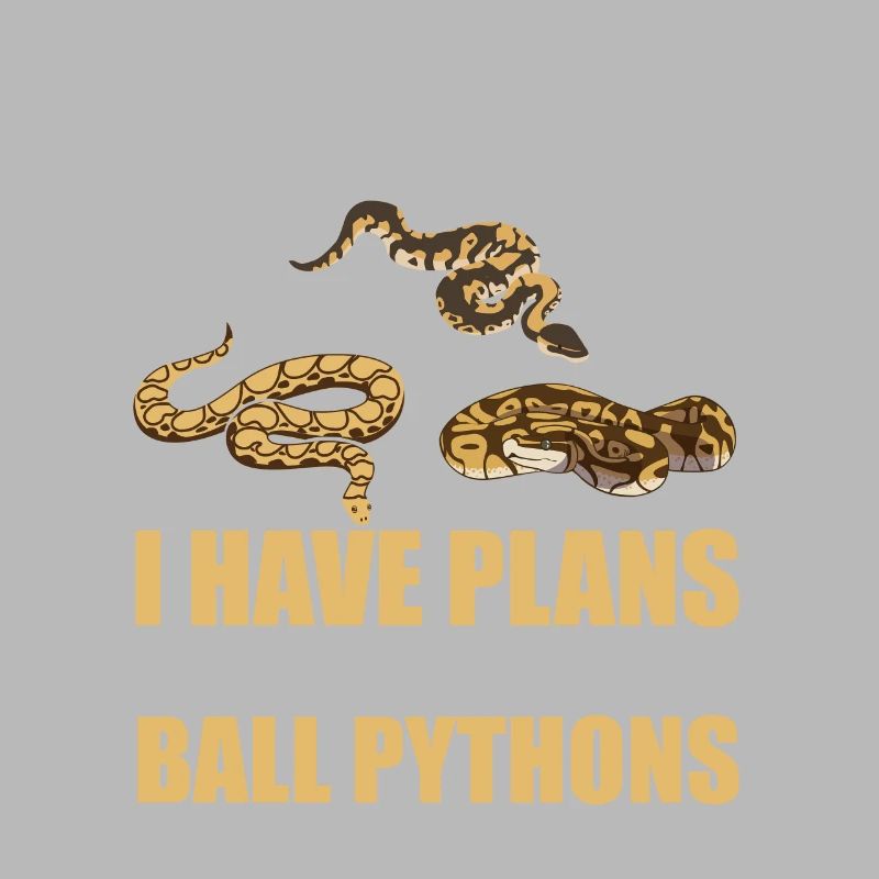 Plans With My King Python Snake Boa