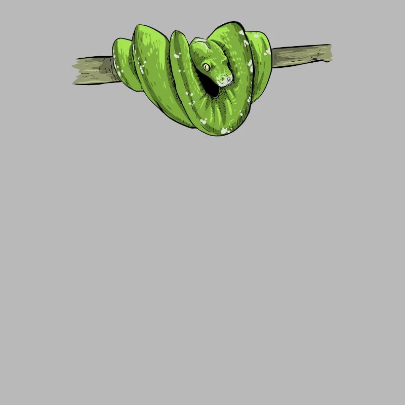 Morelia Viridis I Green Tree Python Snake Phyton