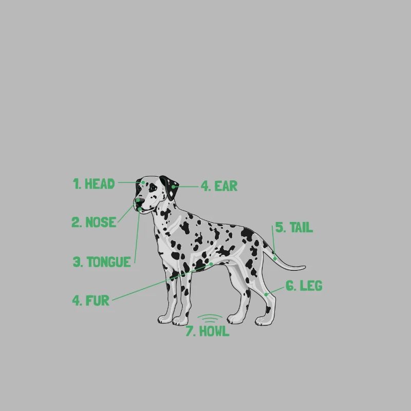 Anatomie d’un Dalmatien