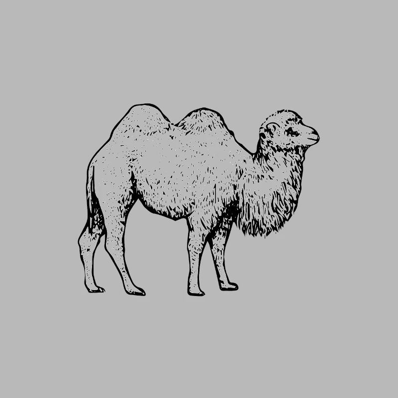 CAMEL