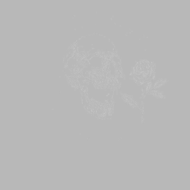 Memento Mori Roses Skeleton Philosophy Thoughts