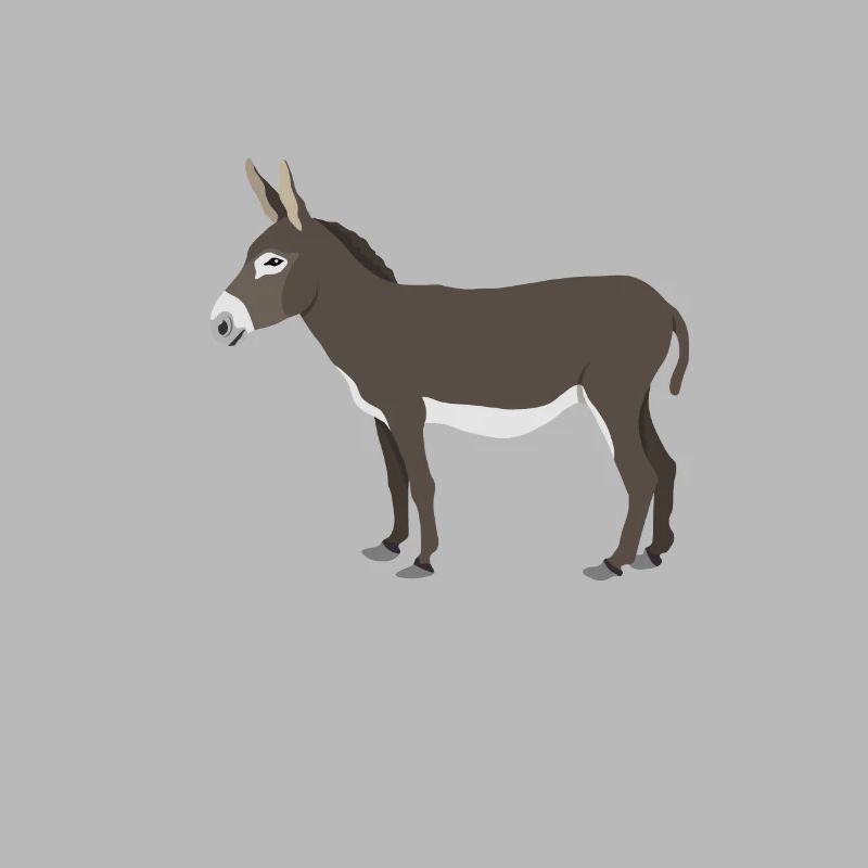A life without a donkey is possible but pointless donkey