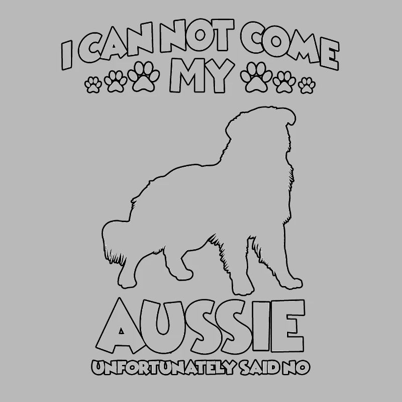 Australian Shepherd Hundeschule Aussie Walking Dog