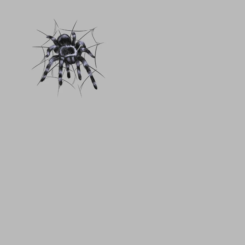 Tarantula large spider with spider web thread