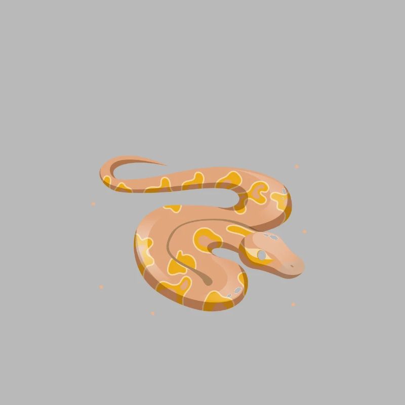 King python design pour les amateurs de serpents