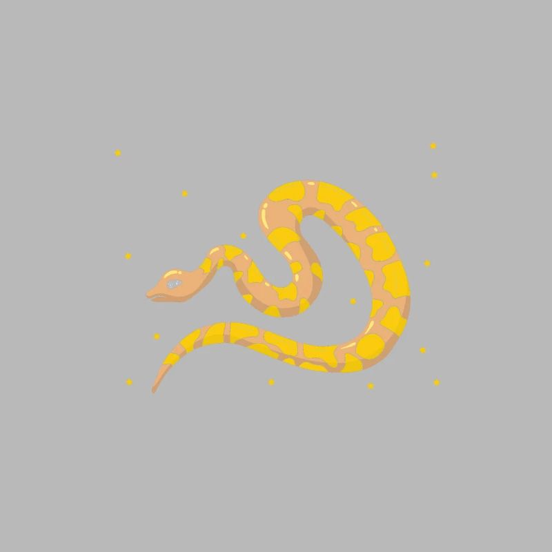 King python design pour les amateurs de serpents