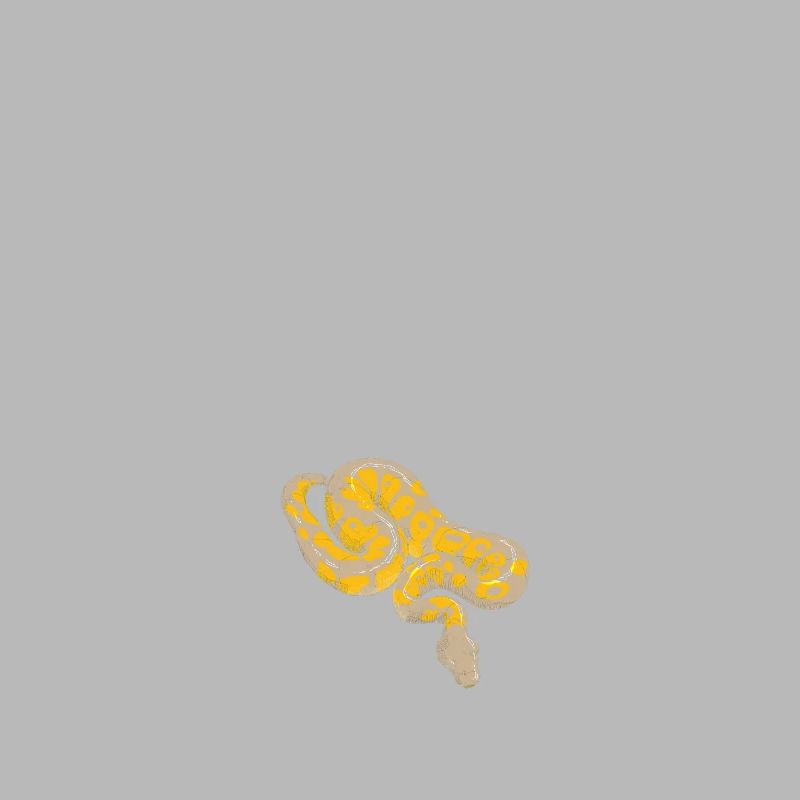 King python design pour les amateurs de serpents