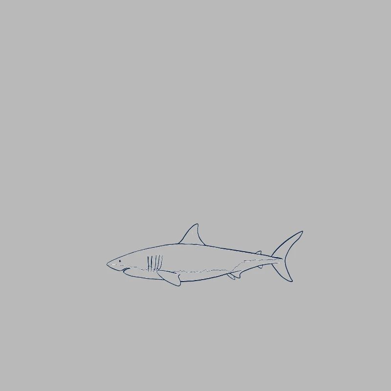 Drôle de conception de requin pour les propriétaires de bateaux