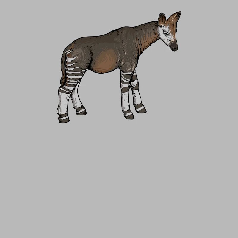 Okapi I girafe de la forêt tropicale pour