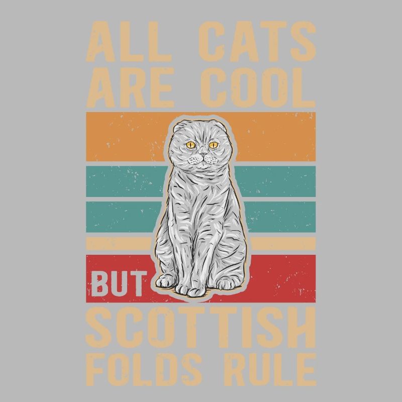 Scottish folding ear cat | Scottish Fold Gift