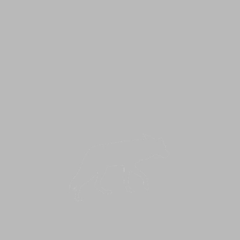 Conception de coyote pour les réacteurs de coyote