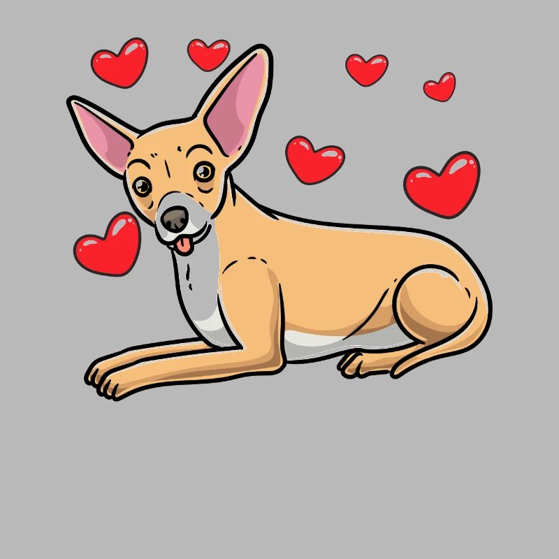 Chiweenie Dog