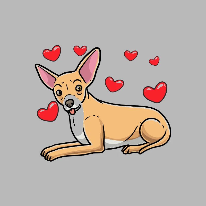 Chiweenie Dog