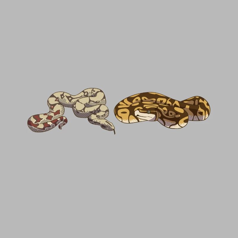 Funny Ball Python Snake
