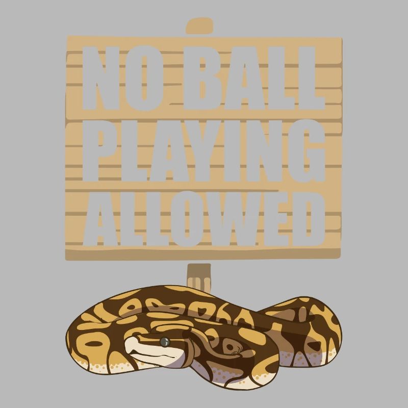 Funny Ball Python Snake