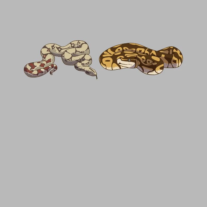 Funny Ball Python Snake