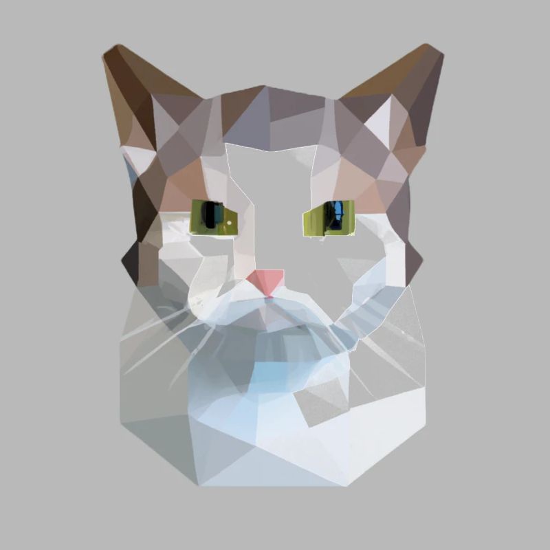 chat mignon bas poly chat blanc gris