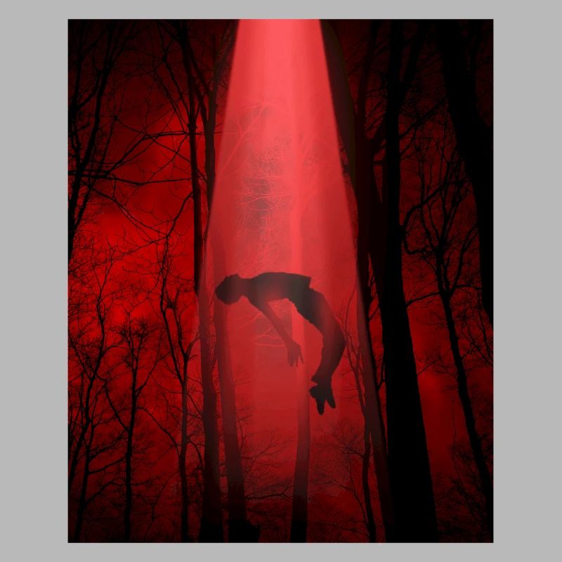 Cryptidcore Aesthetic UFO Alien Abduction