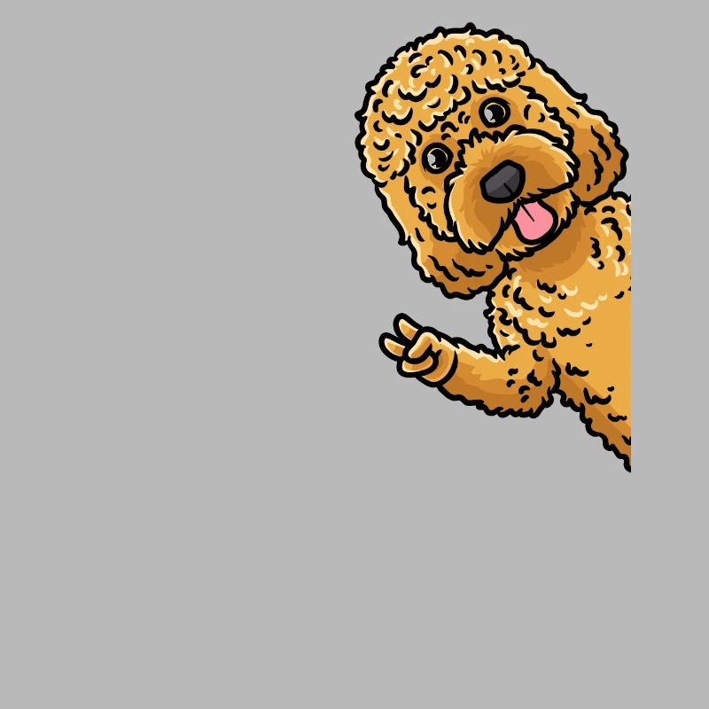 Cockapoo chien de côté