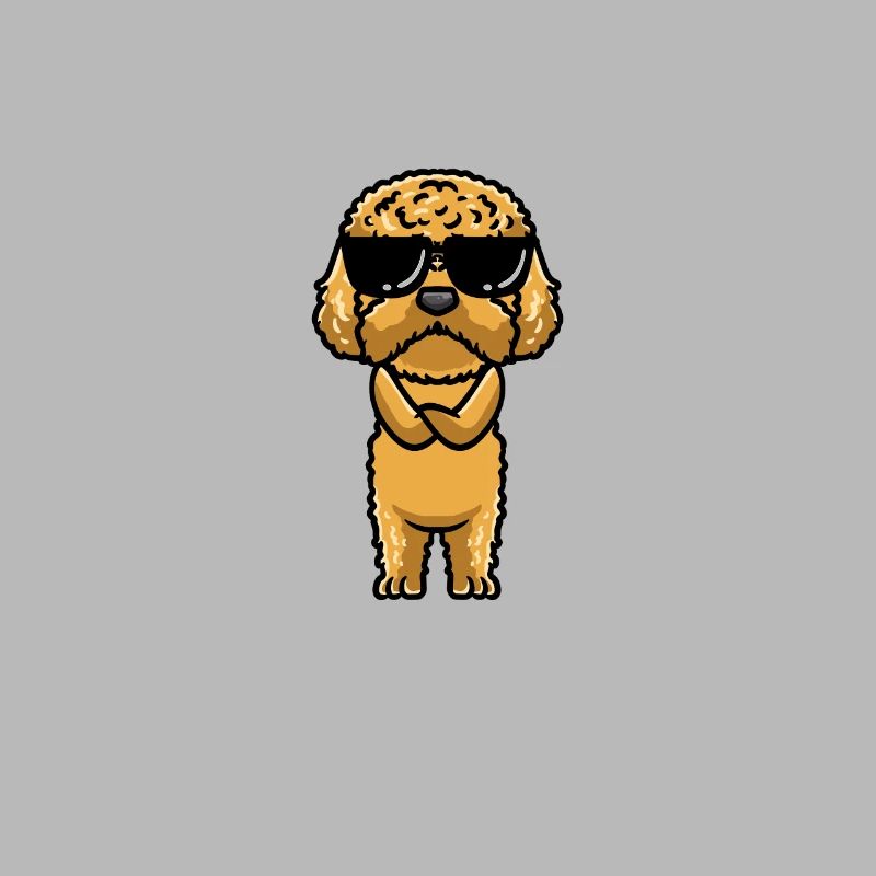 Cockapoo Hund
