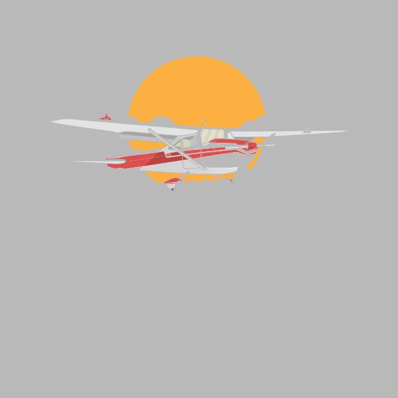 Cropdusting Champion Crop Duster Crop Dusting