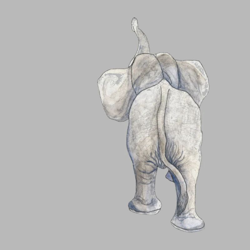 Bien sûr pas de discussion éléphant tarö proboscis