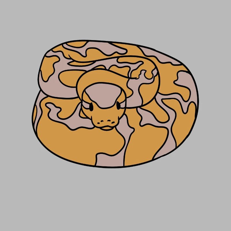 Kugelpython Schlange