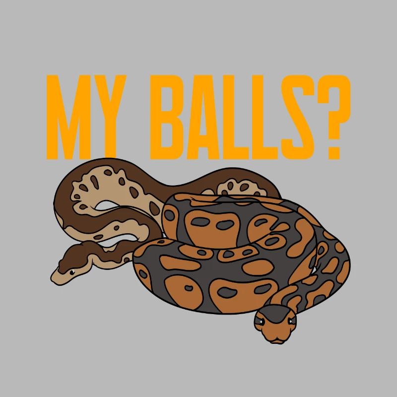 Kugelpython Schlange