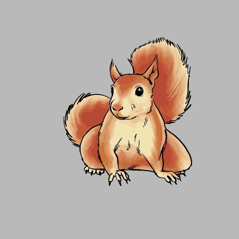 Eichhörnchen