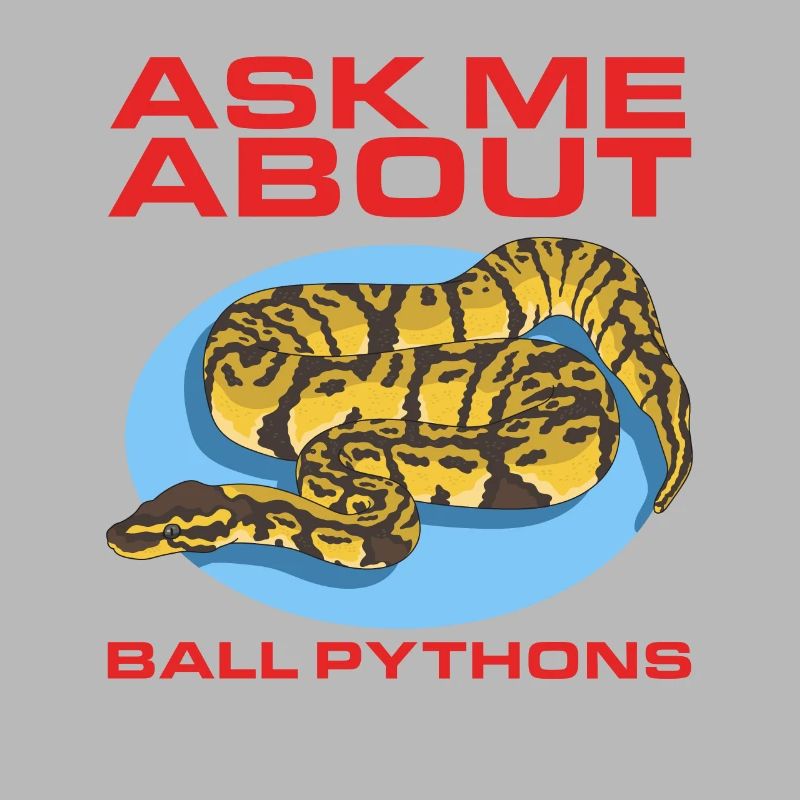 Königspython Python Schlange Geschenke