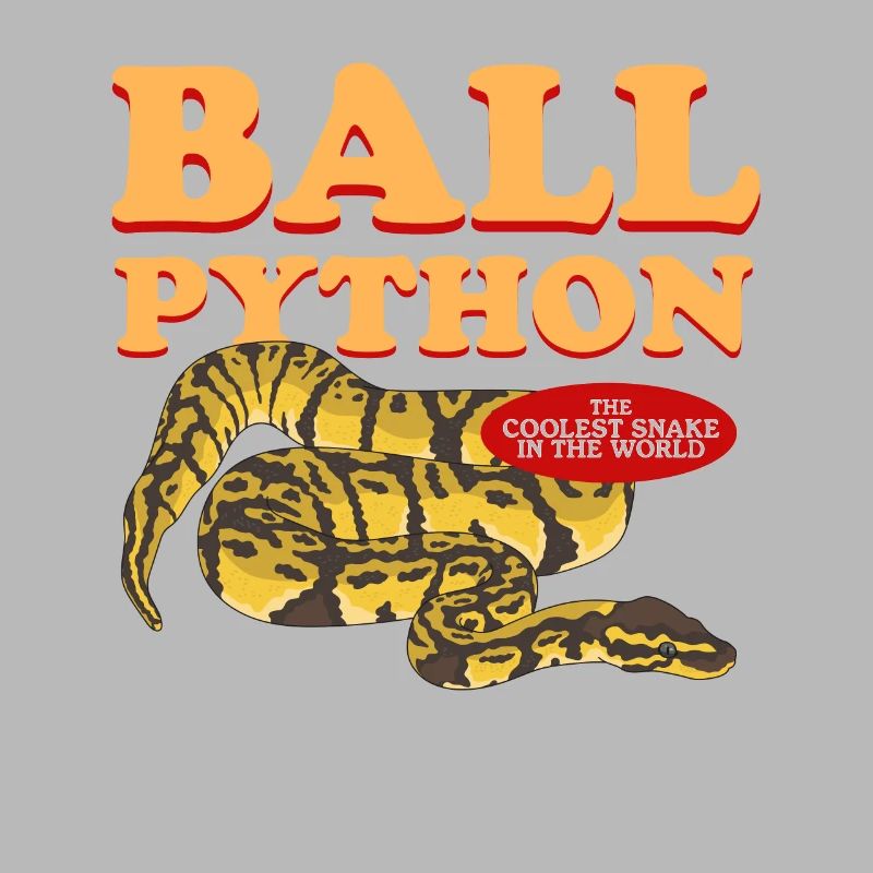 Königspython Python Schlangen Geschenk